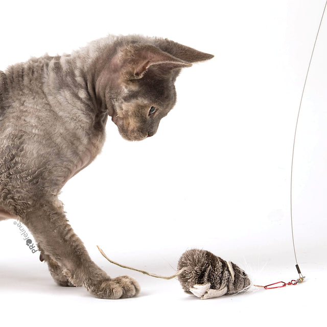 Profeline - Cat Toy Nibbles the Mouse Refill