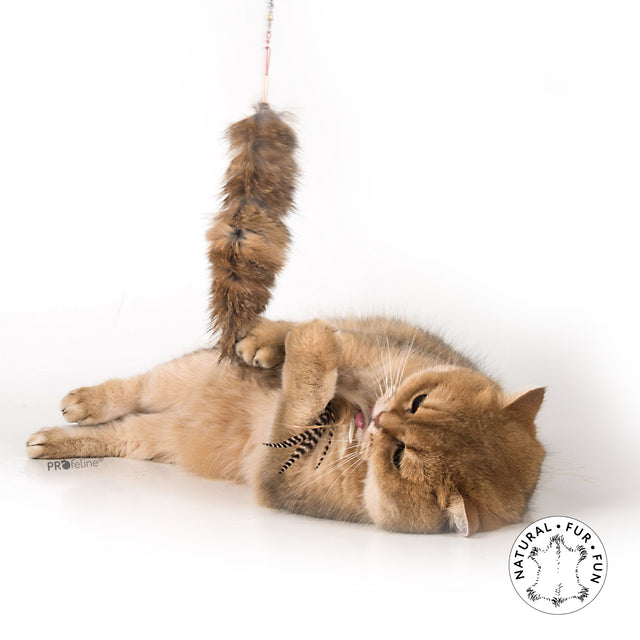 Profeline - Cat Toy Furry Tail