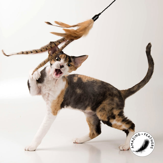 Profeline - Cat Toy Teaser Hunting Wild