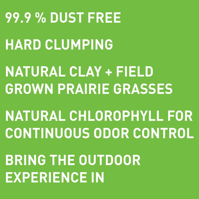 Dr. Elsey's Precious Cat Touch of Outdoors Clumping Clay Cat Litter
