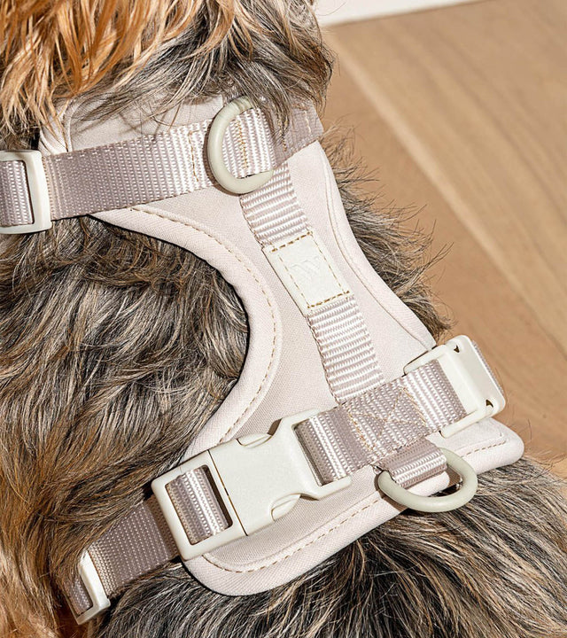 Wild One Dog Harness 2.0  - Grey