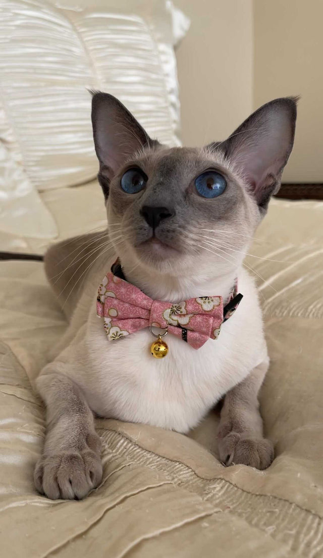 Necoichi Hanami Bow Tie Cat Collar Pastel Pink