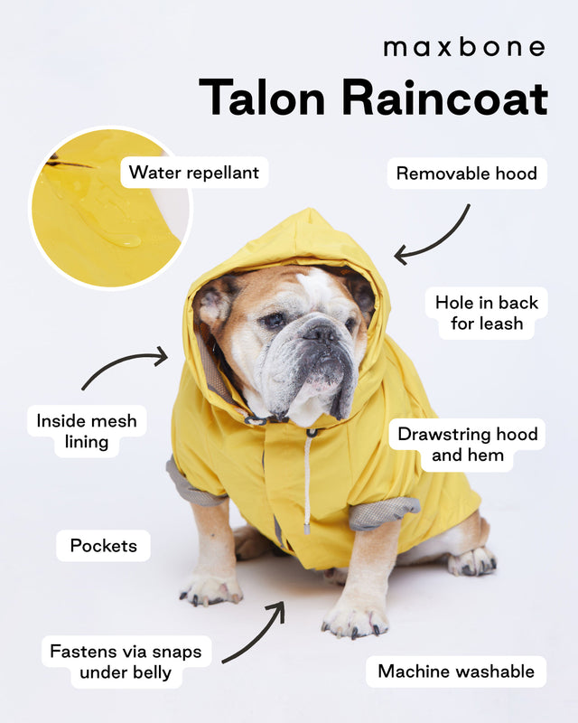 Max Bone Talon Dog Raincoat Yellow