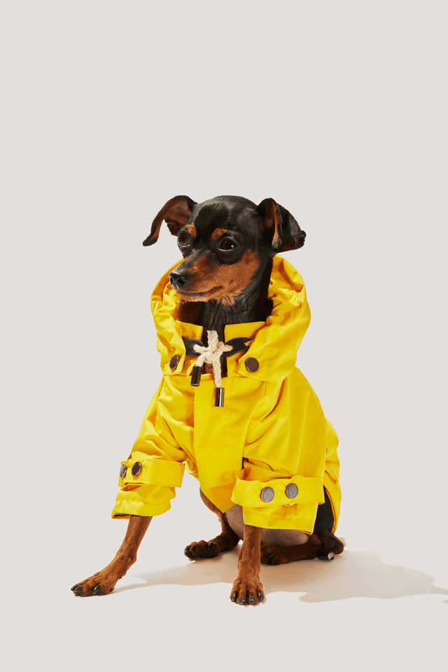 Max Bone Talon Dog Raincoat Yellow