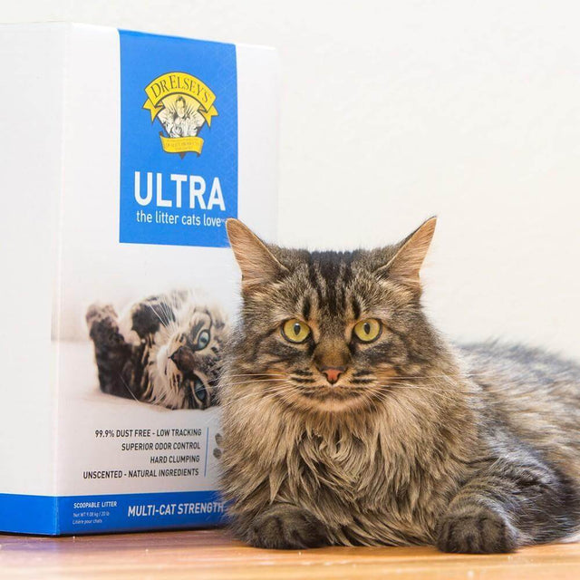 Dr. Elsey's Precious Cat Ultra Clumping Clay Cat Litter